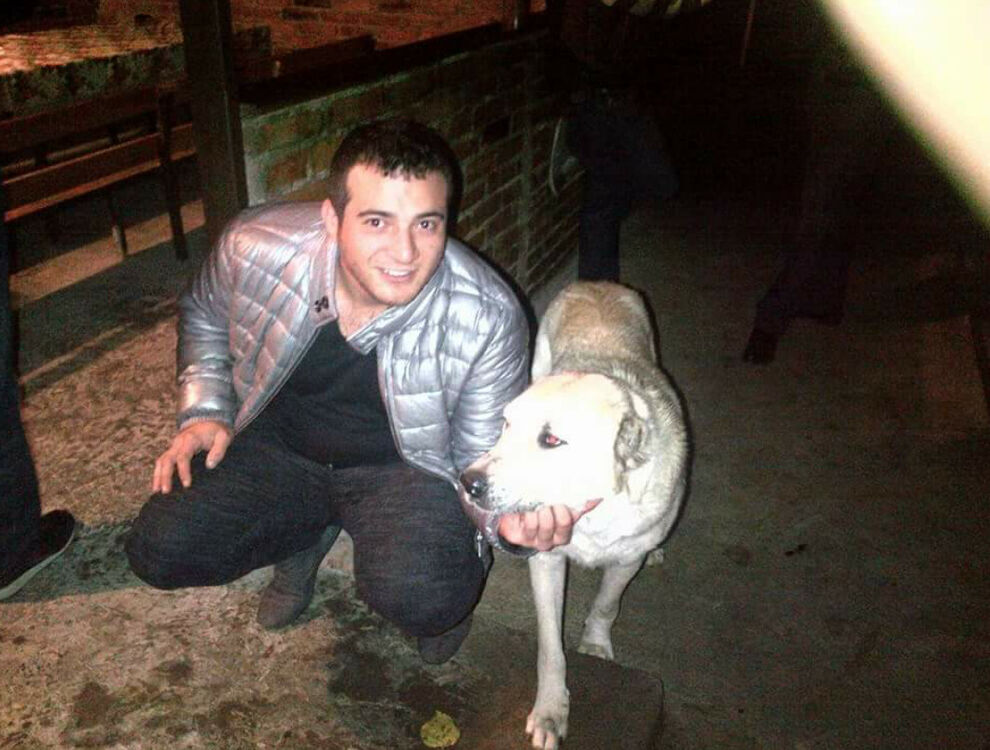 ���������� ������, ���� ������� Emil, 39 ���, ������������ ��� ������, ����� � ���������, c�������� ���������