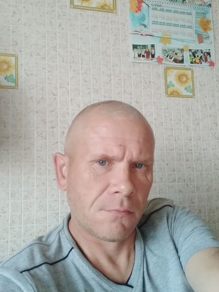  23950822  , 46 ,    