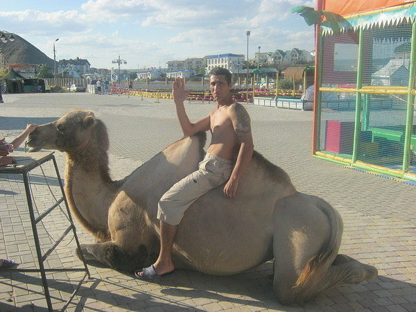 ���� 7647392 ������� ����, 49 ���, ���� ���������� � �����������