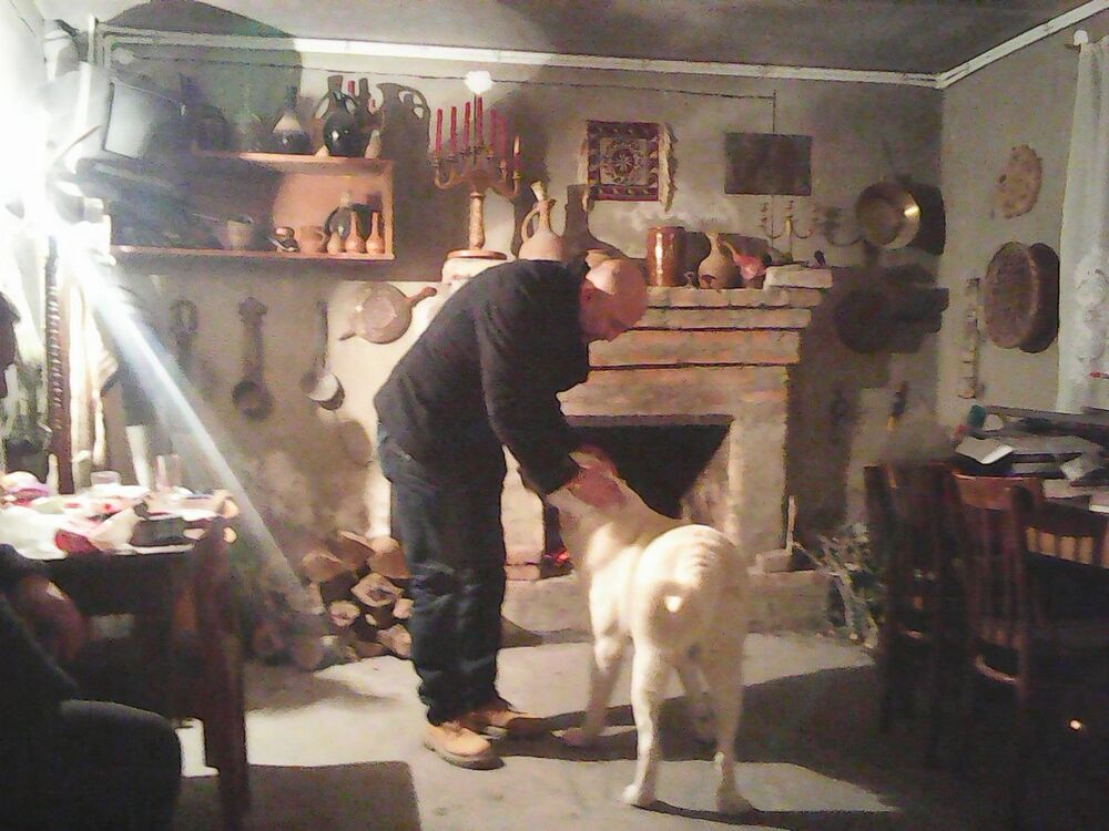  ,   Selkaio, 50 ,   