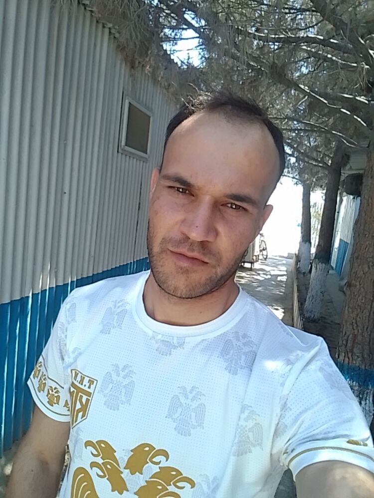  46116092  , 28 ,    