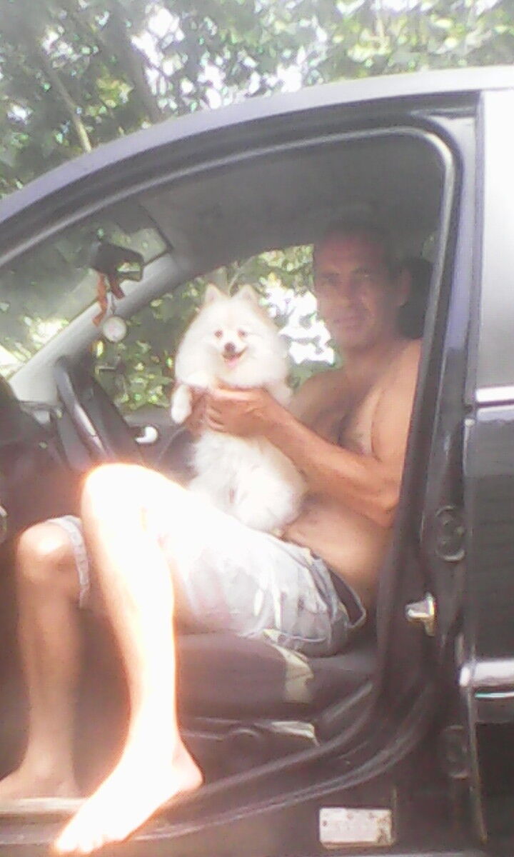 ���� 7733762 ������� �������, 59 ���, ���� ���������� � ������