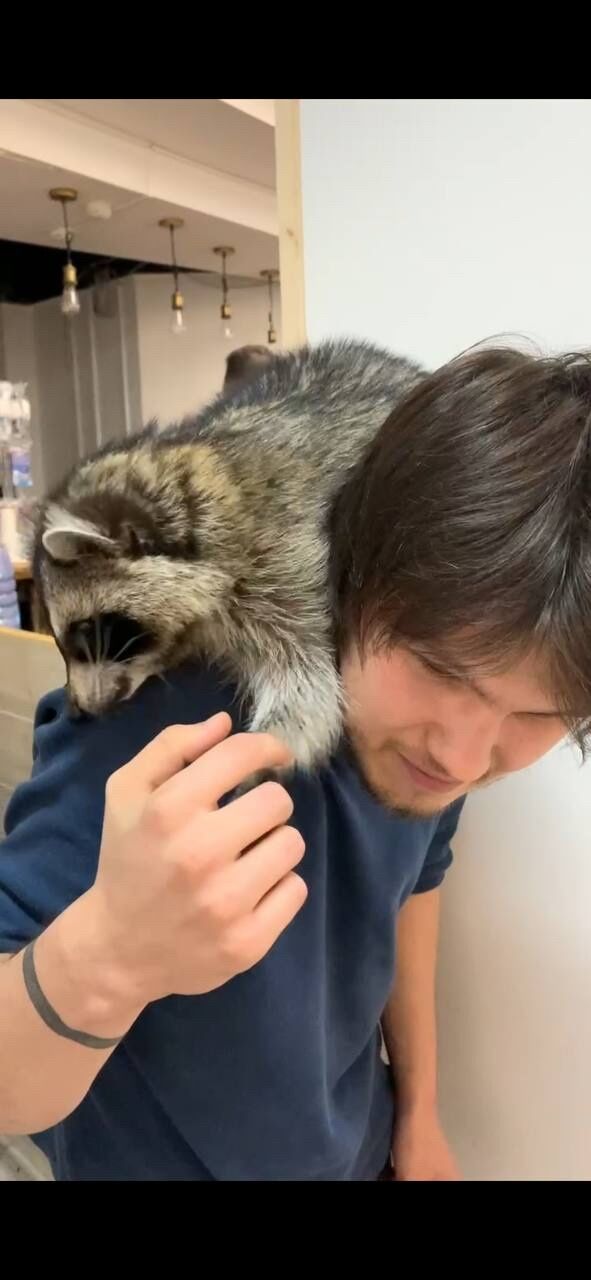 ���������� �������, ���� ����� Steam, 24 ����, ������������ ��� ������, ����� � ���������, c�������� ���������, ���������