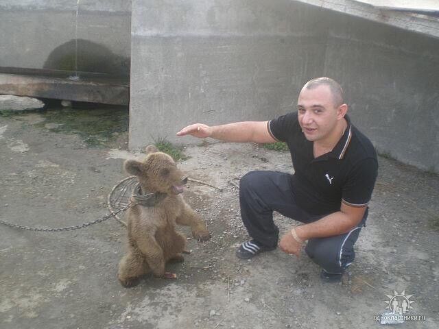 ���� 5128232 ������� Musheg, 49 ���, ���� ���������� � �������