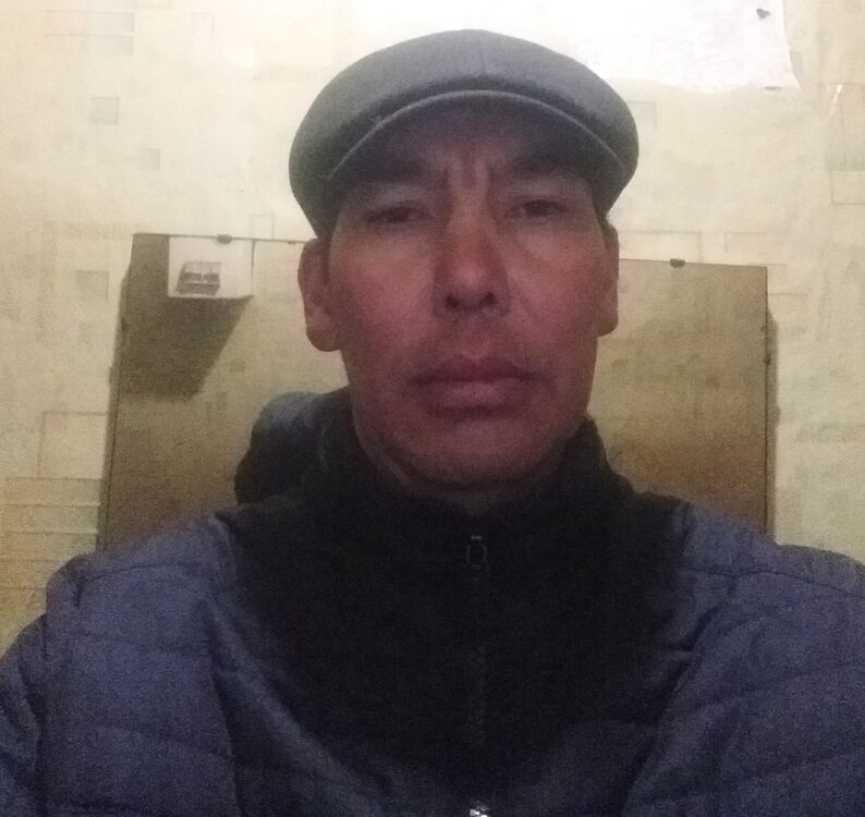  41737642  , 43 ,    