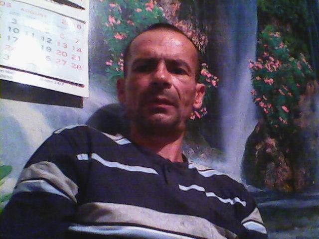  -,   Volchonok, 56 ,   ,   , c 