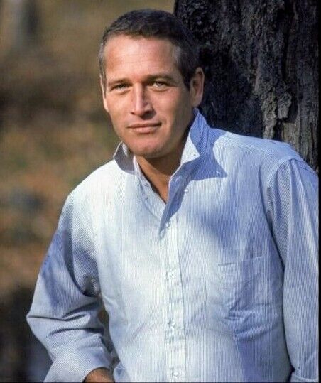 ���������� ������-��-����, ���� ������� �����, 36 ���, ������������ 