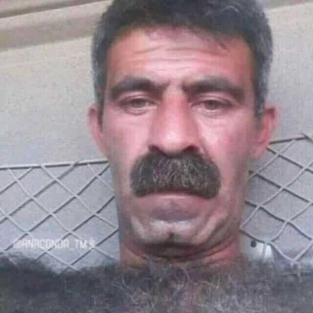  34408322  , 49 ,    