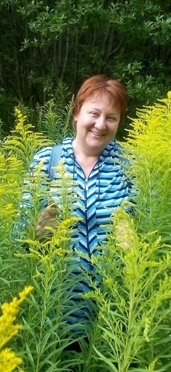 ���������� �����, ���� ������� ��������, 60 ���, ������������ ��� c�������� ���������