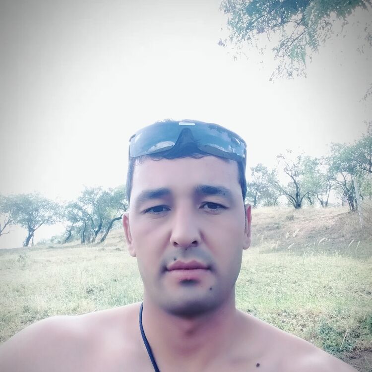  ,   ARDAVASs, 37 ,   ,   , c 