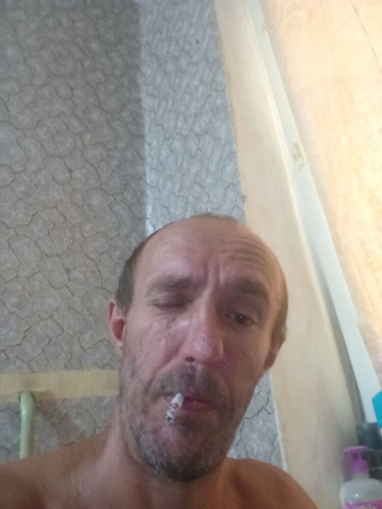  46173192  , 43 ,    