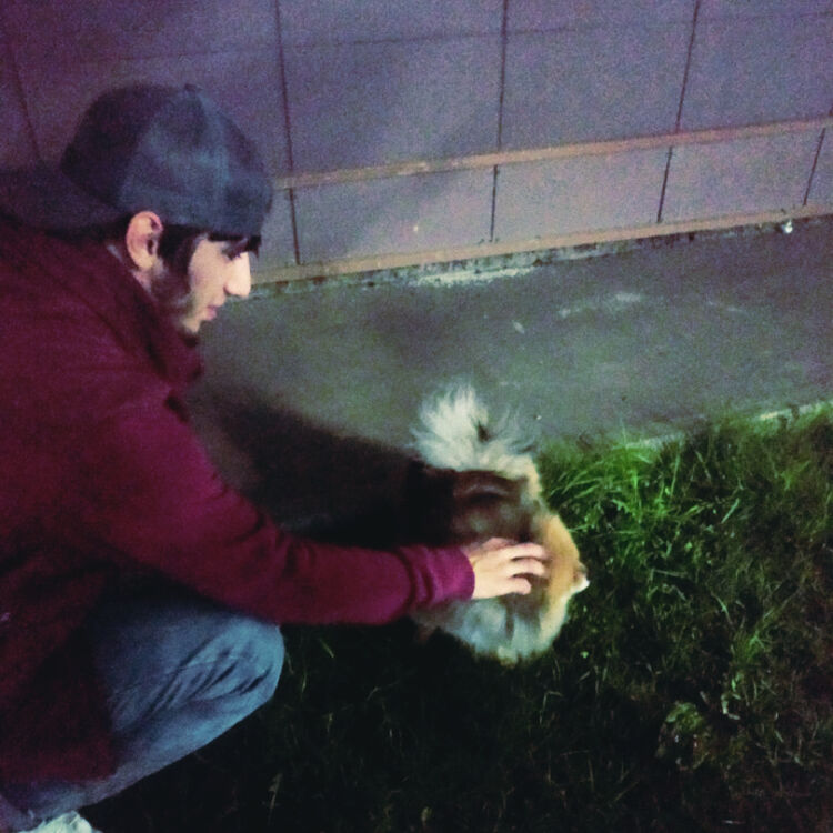  ,   , 22 ,   ,   