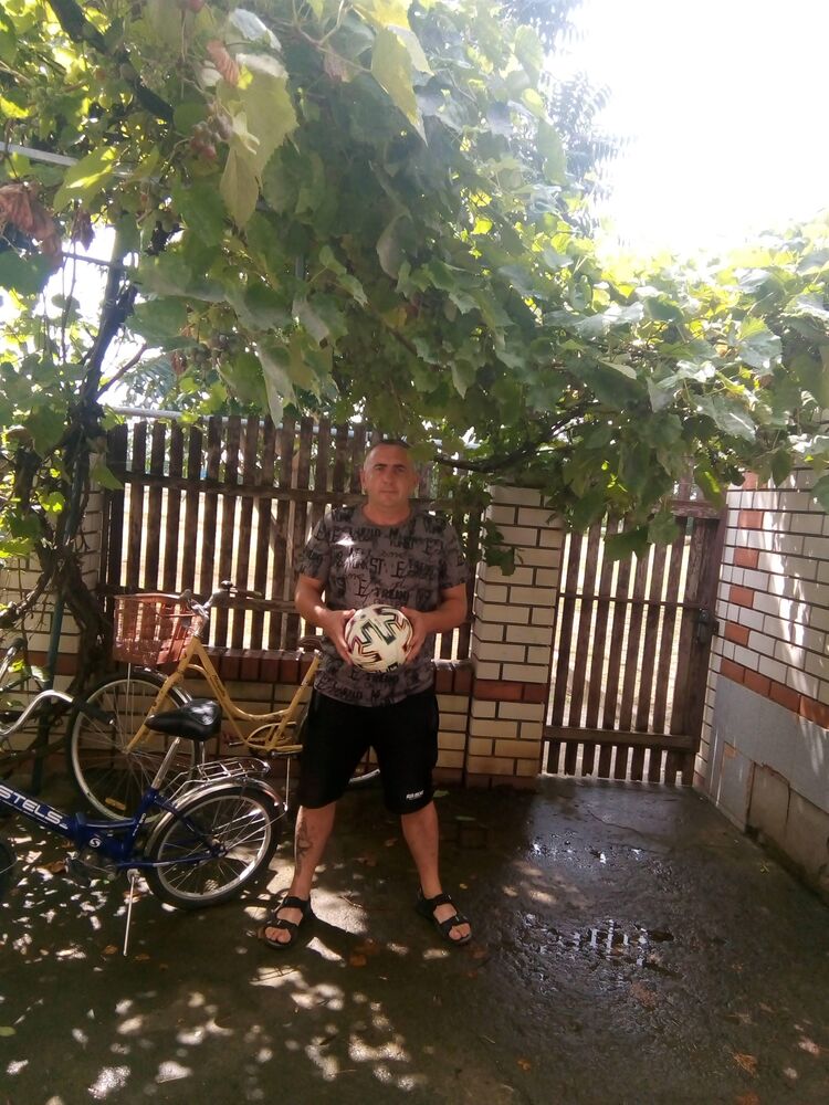  38764612  , 44 ,    