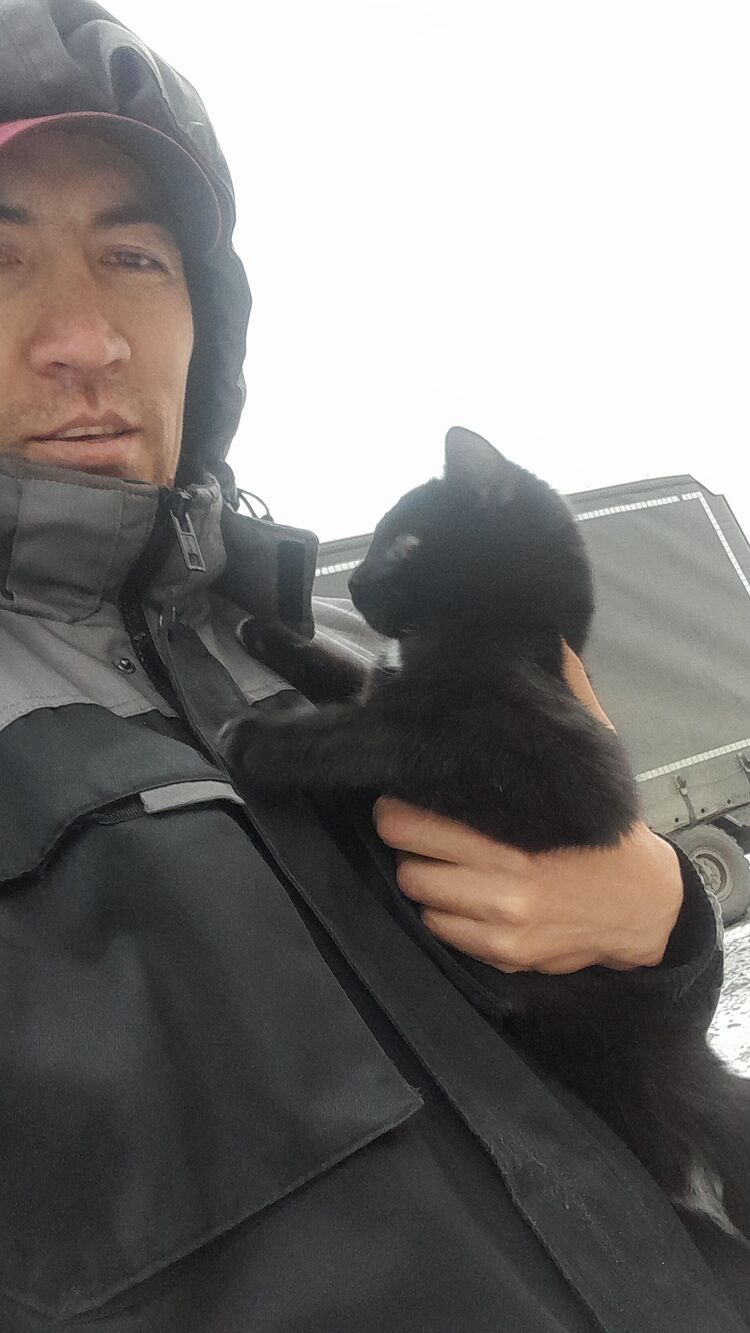 ���� 30877982 ������� �����, 34 ����, ���� ���������� � ����������