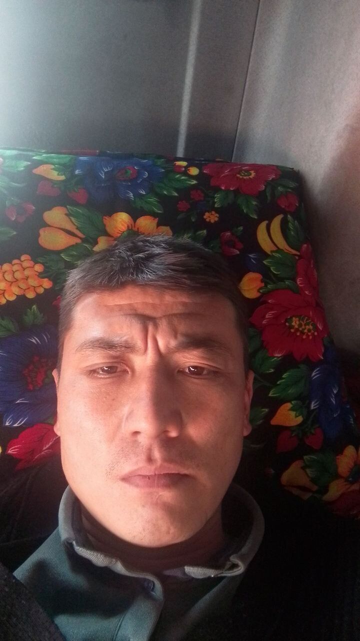  47855712  , 31 ,    