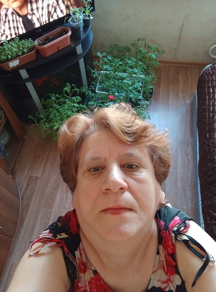 ���� 54991962 ������� �������, 65 ���, ���� ���������� � �����