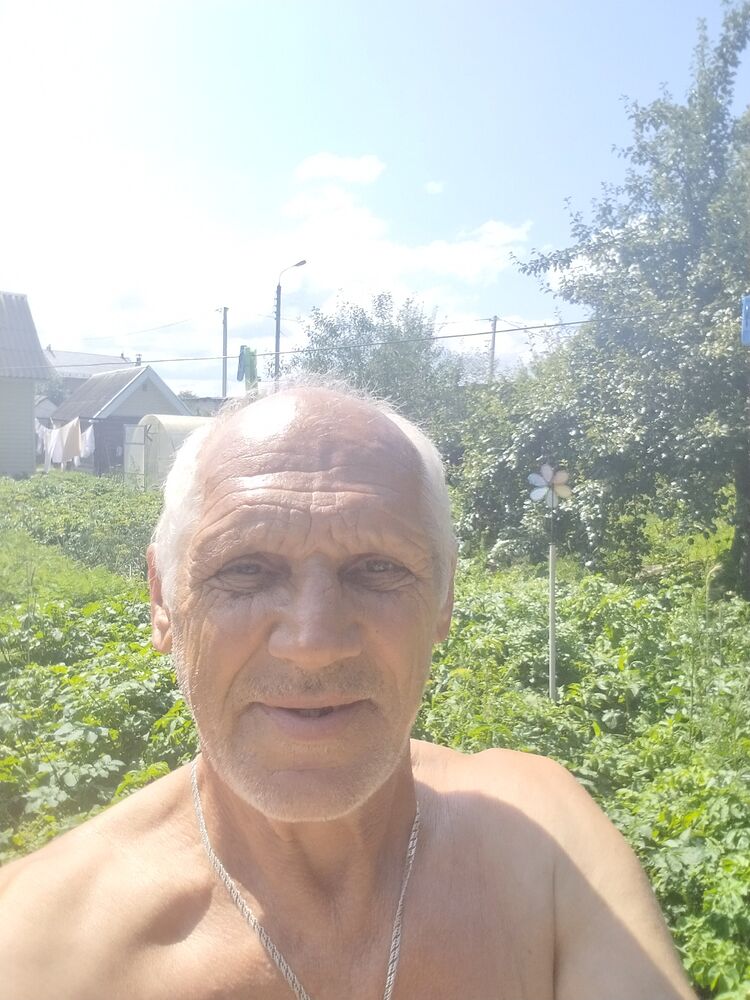  36516882  , 63 ,    
