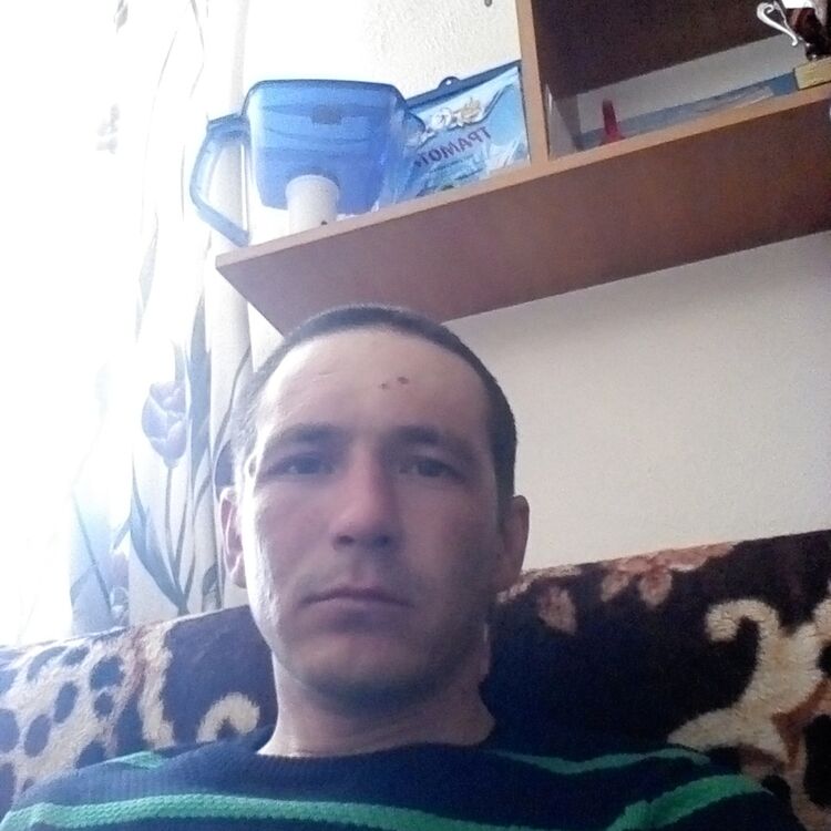  9131422  , 37 ,    -
