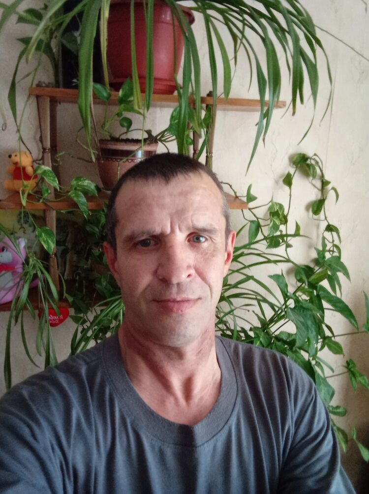  33813982  , 52 ,    