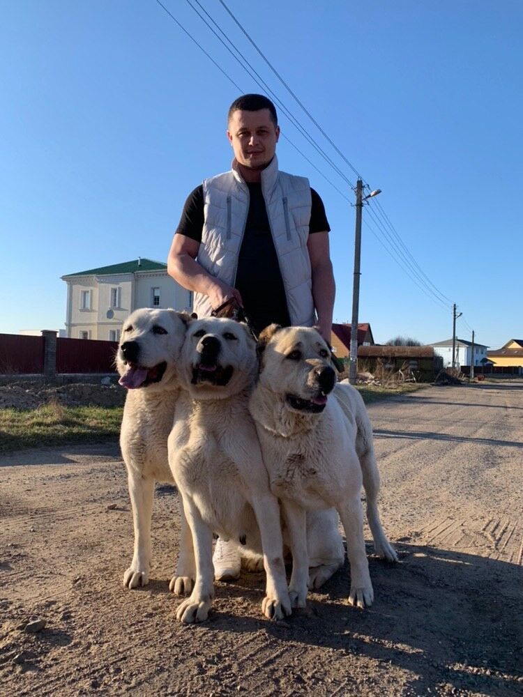  ,   Maksim, 39 ,   ,   , c 