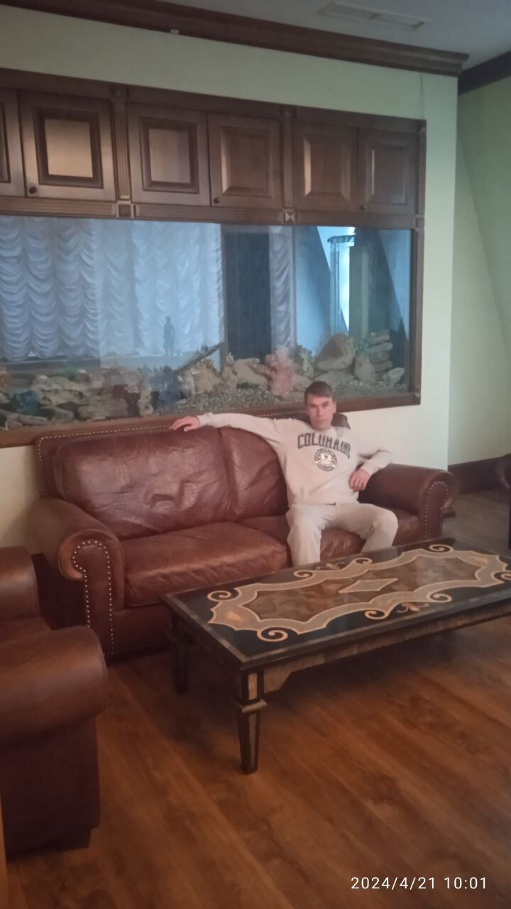  42668882  , 31 ,    