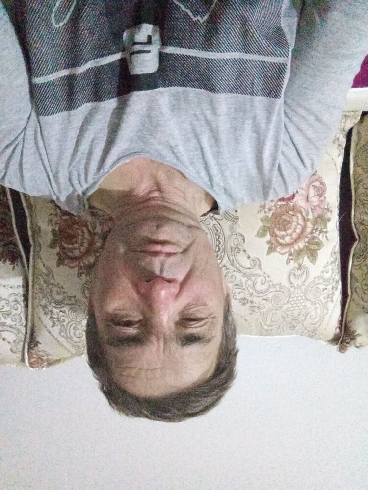  33739372  , 55 ,    
