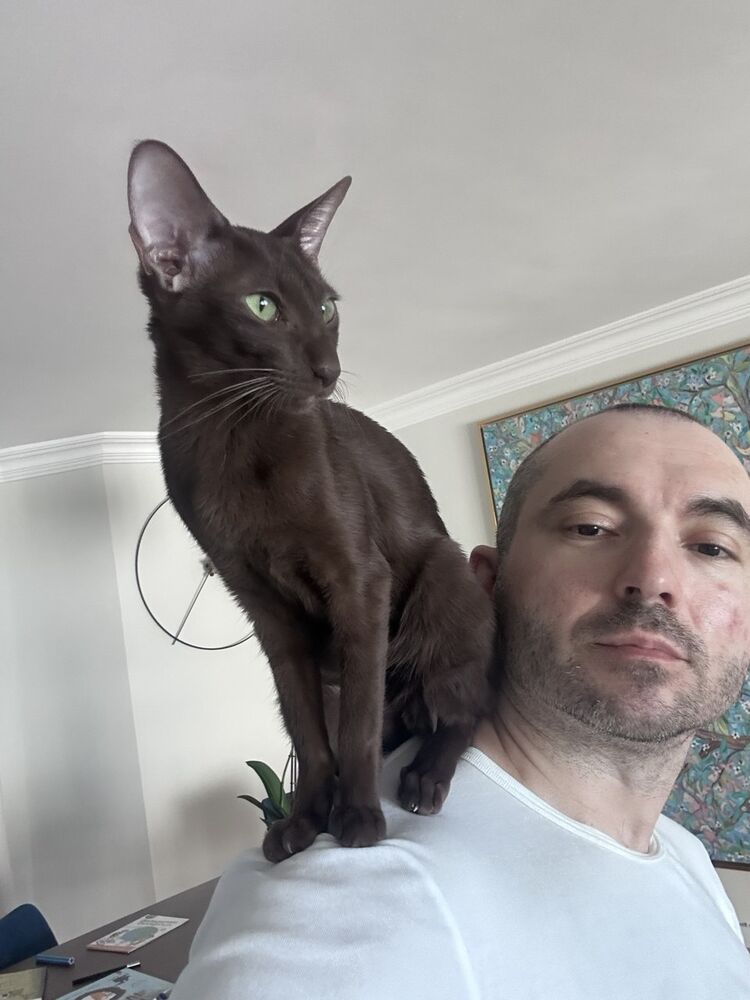 ���� 54618872 ������� Denis, 44 ����, ���� ���������� � ������