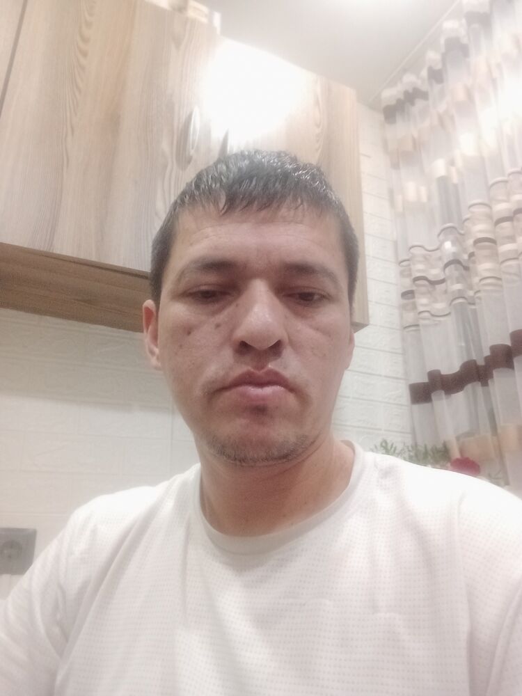  50226782  , 43 ,    -
