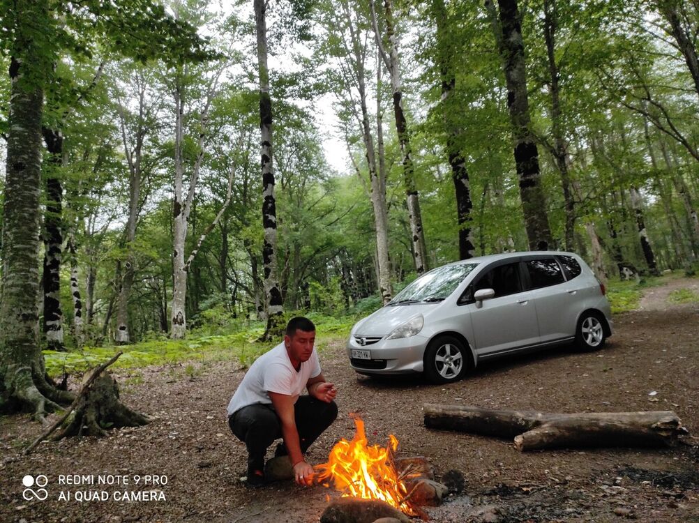 ���������� �������, ���� ������� Dato, 35 ���, ������������ ��� ������, ����� � ���������, c�������� ���������