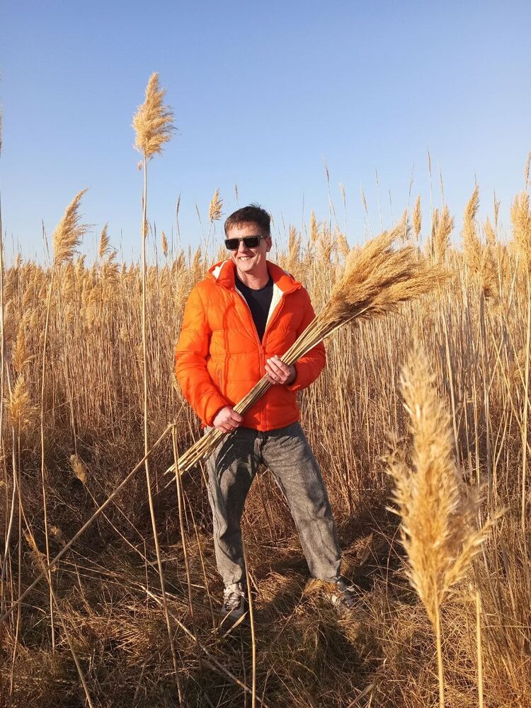 ���� 55597482 ������� �������, 46 ���, ���� ���������� � �����������