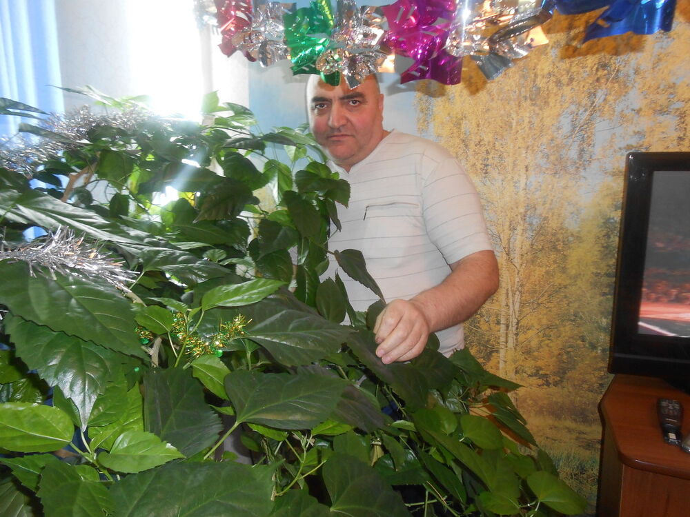  11142232  , 66 ,    -