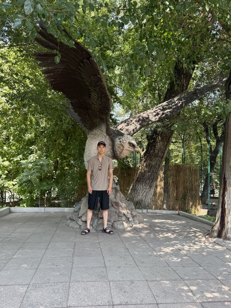 ���� 56211332 ����� ������, 20 ���, ���� ���������� � ����������