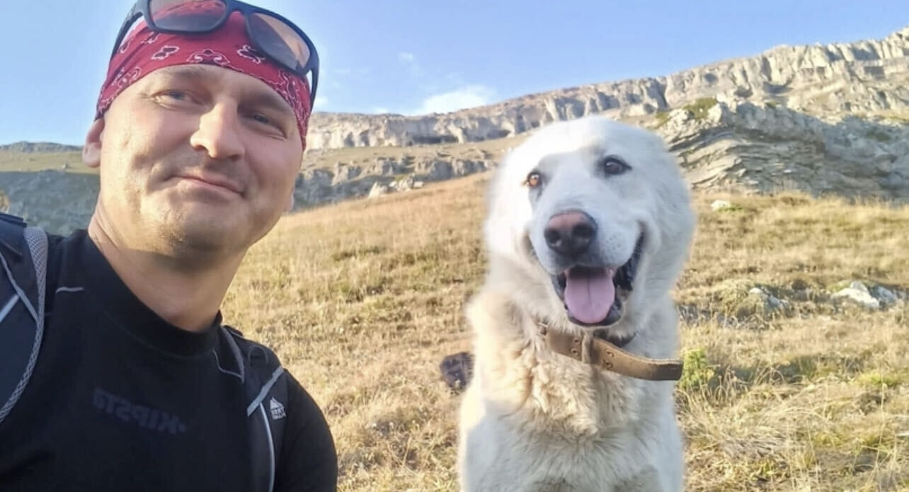 ���������� ���������, ���� ������� �������, 45 ���, ������������ ��� ������, ����� � ���������