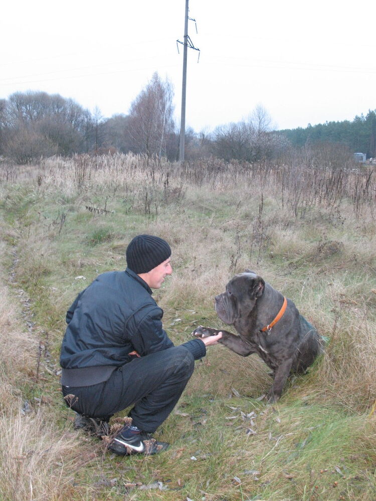 ���������� �����, ���� ������� �������, 41 ���, ������������ ��� ������, ����� � ���������, c�������� ���������