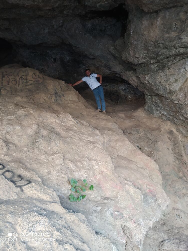  43481512  Ariz, 34 ,    