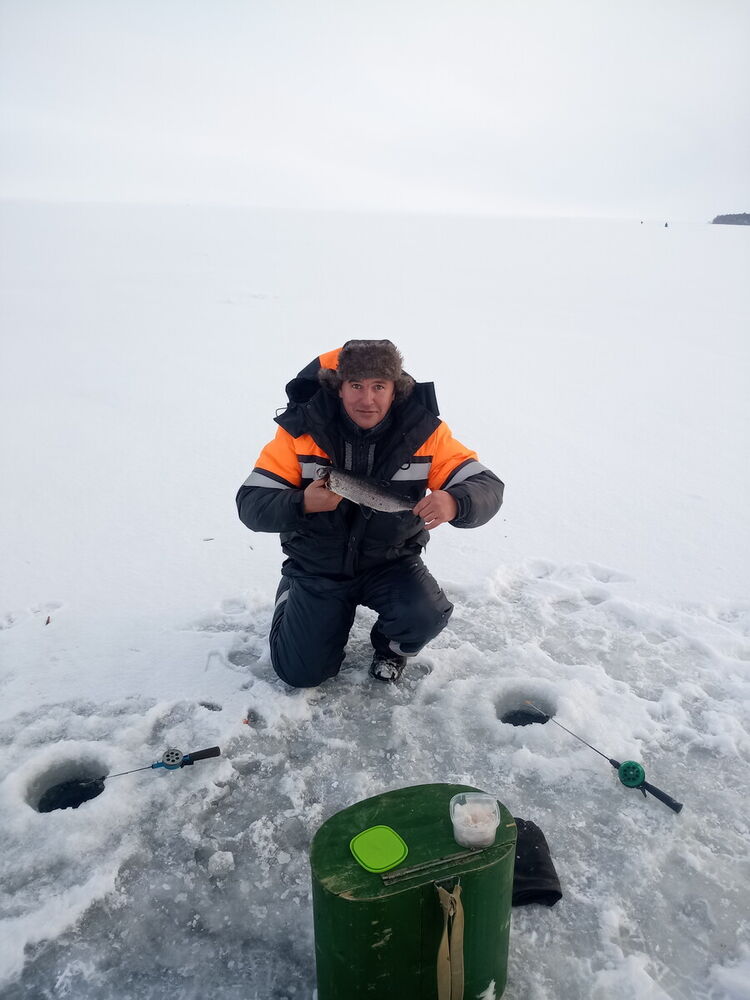 ���������� ������������, ���� ������� ������, 44 ����, ������������ ��� ����� � ���������, c�������� ���������