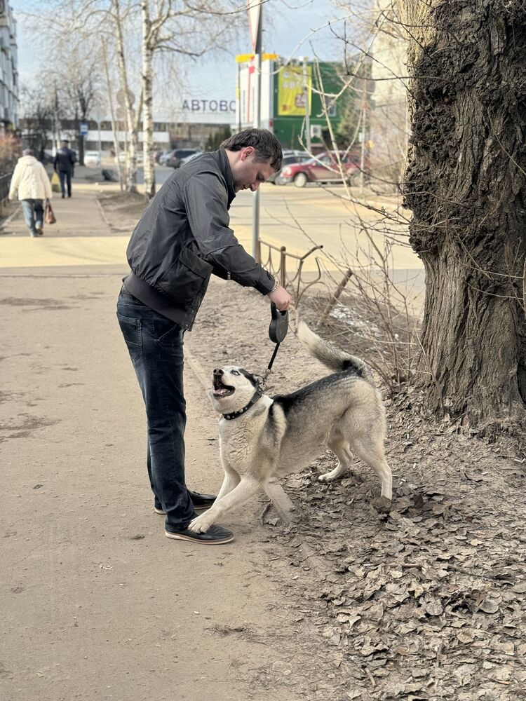 ���������� �����, ���� ������� ������, 33 ����, ������������ ��� ������, ����� � ���������