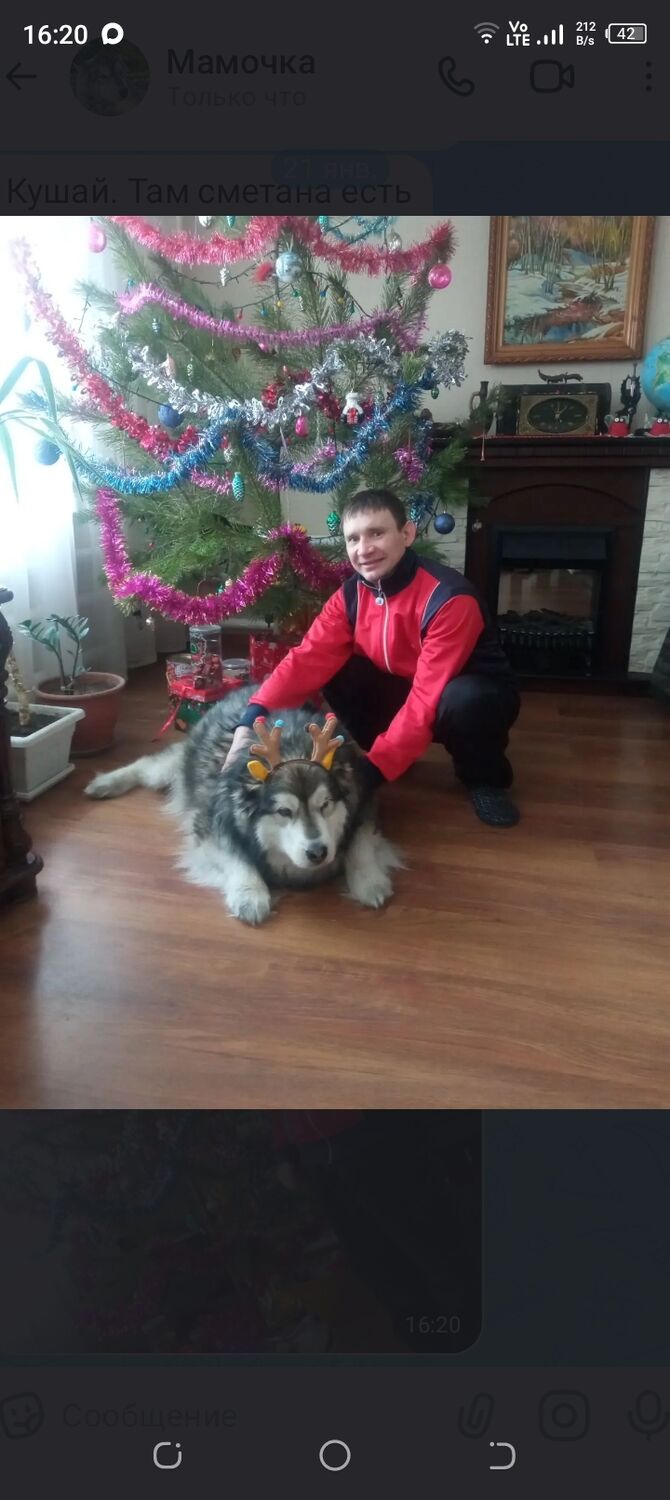 ���� 55444412 ������� �������, 37 ���, ���� ���������� � ������-��-���