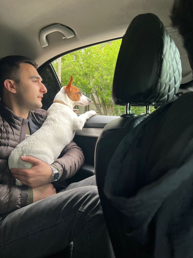 ���������� ������, ���� ������� ����, 35 ���, ������������ ��� ������