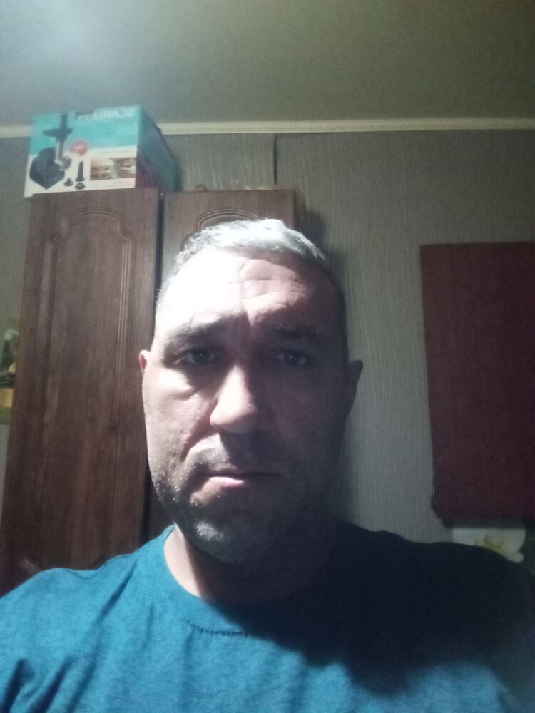  46231472  , 40 ,    