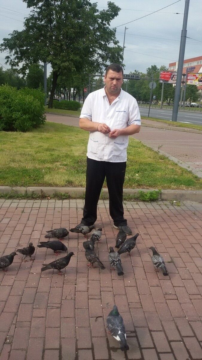 ���������� �����-���������, ���� ������� ��������, 50 ���, ������������ ��� ������