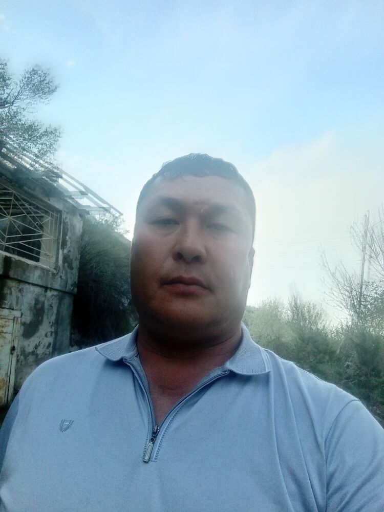  45158962  , 38 ,    