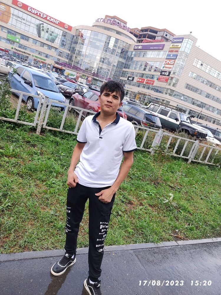  53036582  , 26 ,    