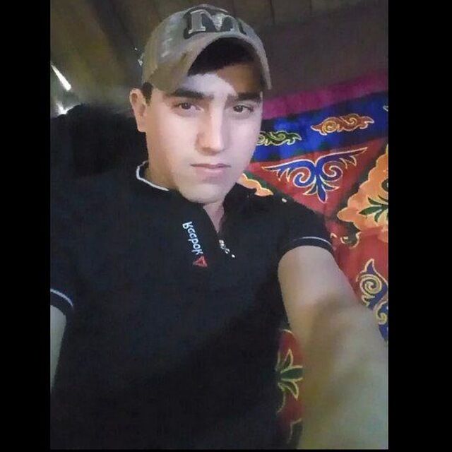  45648332  , 31 ,    