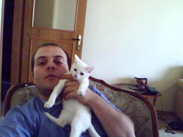 ���������� ������, ���� ������� Arm, 40 ���, ������������ ��� ������, ����� � ���������, c�������� ���������