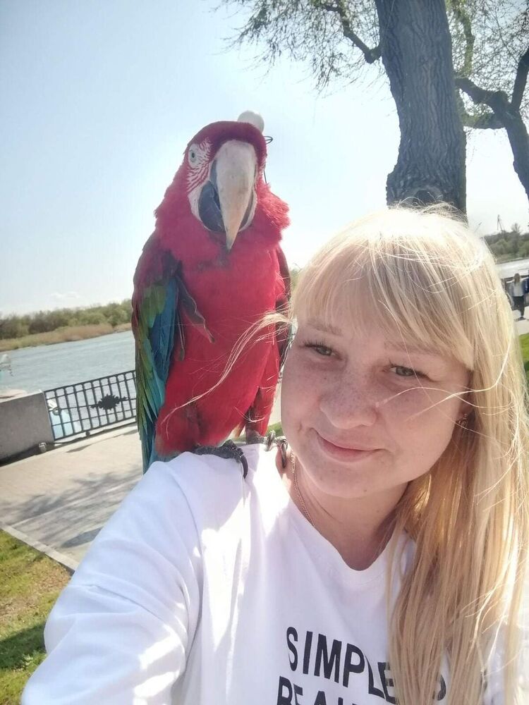 ���������� ��������, ���� ������� ��������, 36 ���, ������������ ��� c�������� ���������