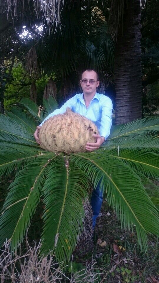 ���������� ����, ���� ������� ����, 42 ����, ������������ ��� ������, ����� � ���������, c�������� ���������