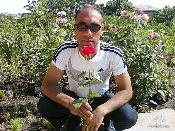 ���������� ������, ���� ������� Ovo, 41 ���, ������������ ��� ������