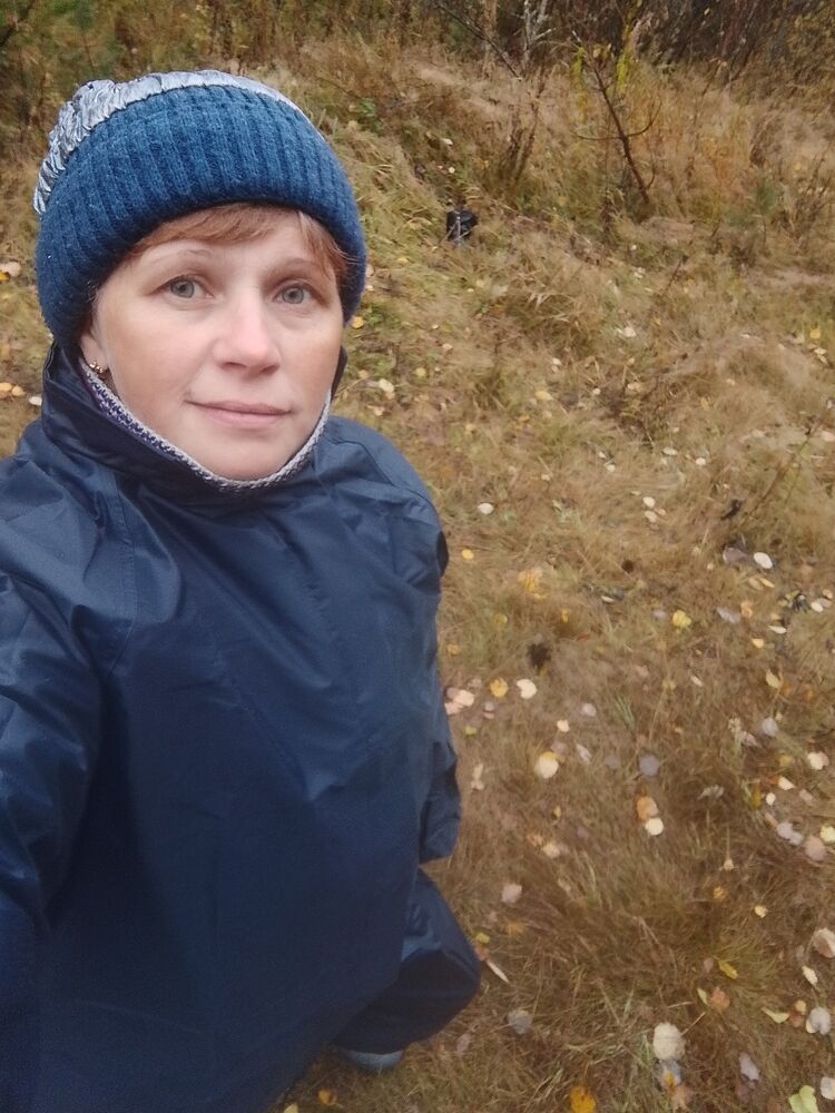  53601932  , 50 ,    -