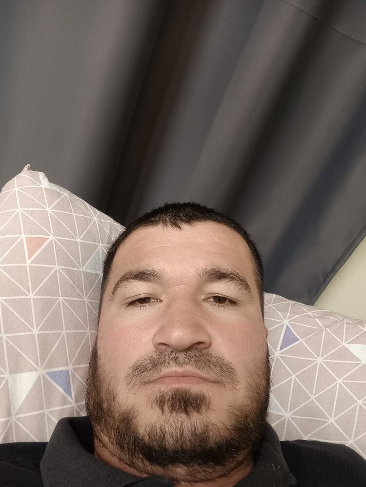  31478942  , 36 ,    -